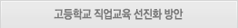 고등학교직업교육선진화방안