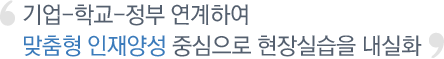 기업-학교-정부 연계하여   맞춤형 인재양성 중심으로 현장실습을 내실화  