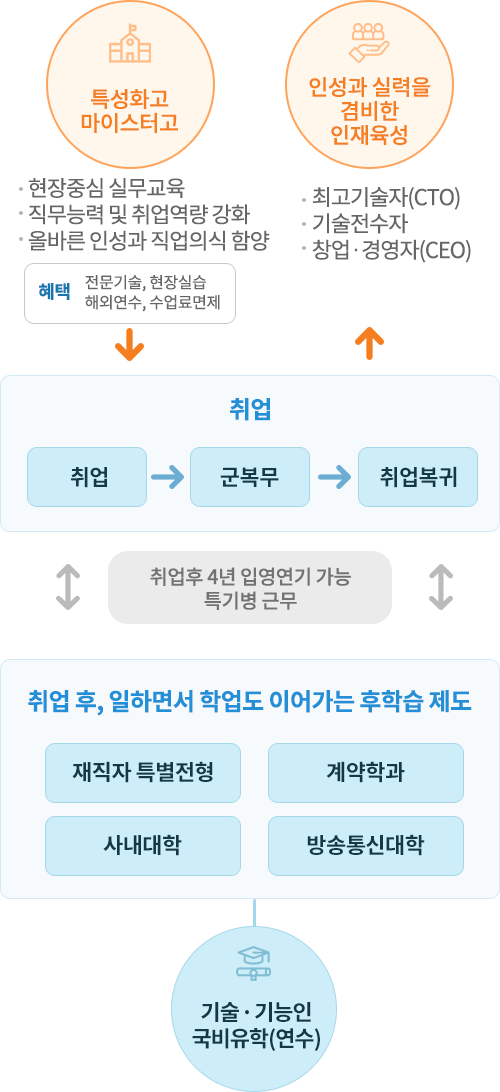 특성화고·마이스터고 학생의 성장 경로 이미지